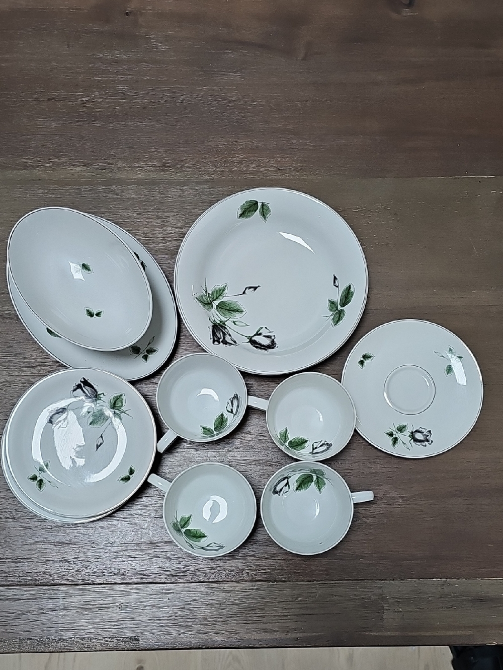 Rosenthal Germany Continental China -- Midnight Rose Pattern